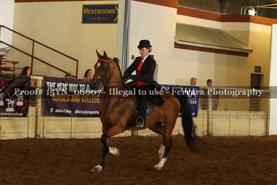 Proof 15YN_06607