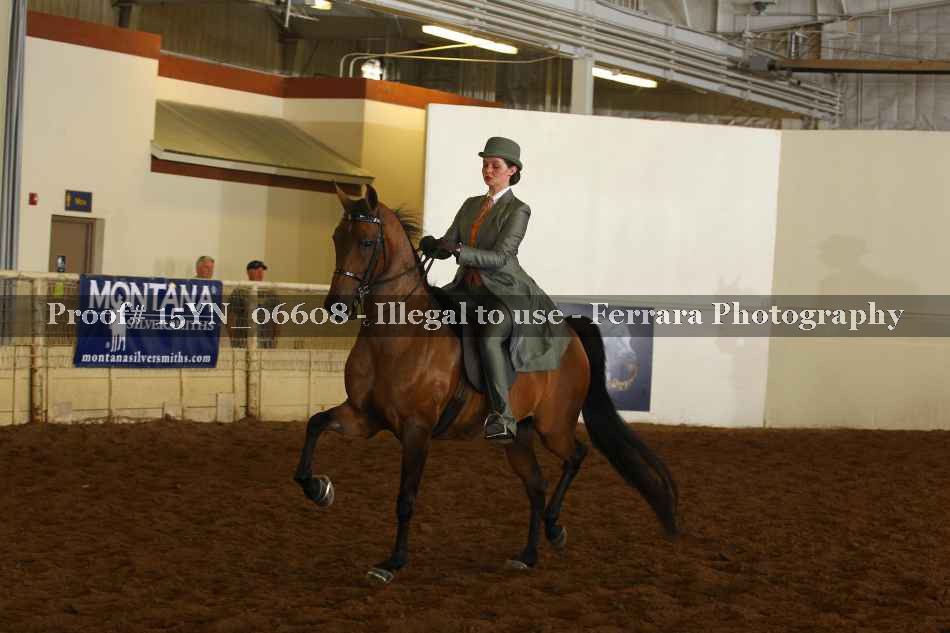 Proof 15YN_06608