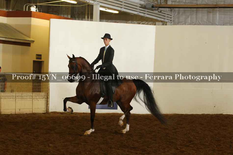 Proof 15YN_06609