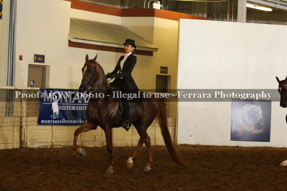 Proof 15YN_06610