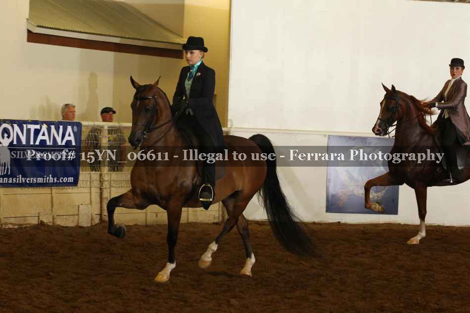 Proof 15YN_06611