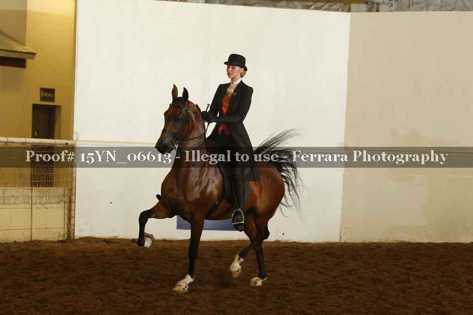Proof 15YN_06613