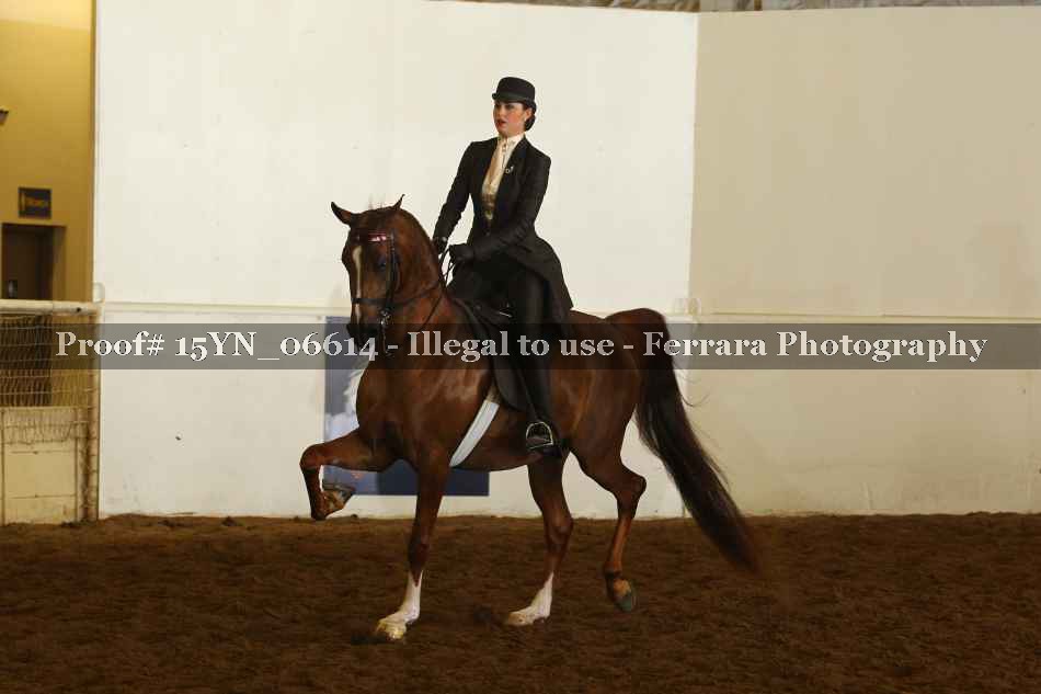 Proof 15YN_06614
