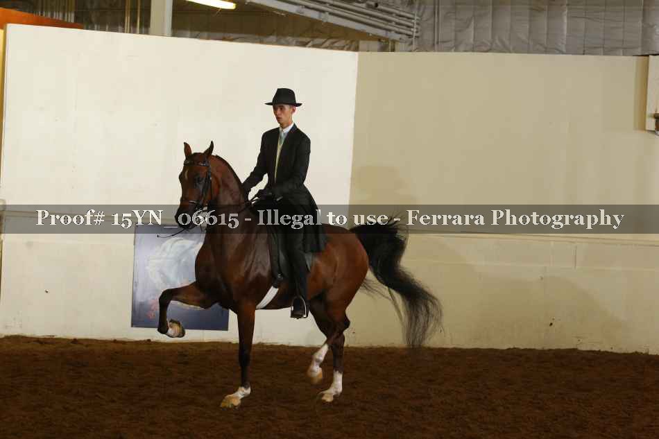 Proof 15YN_06615