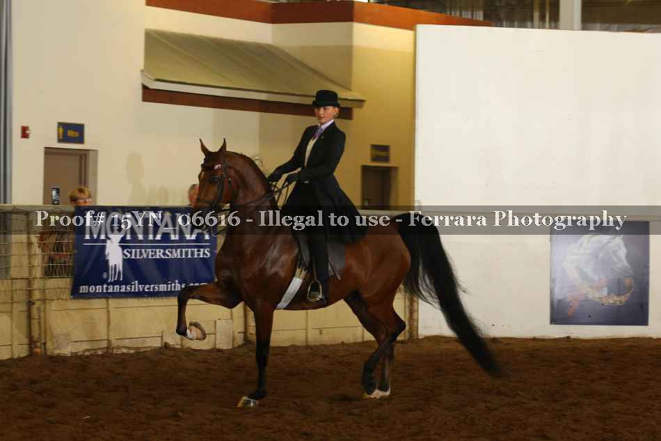 Proof 15YN_06616