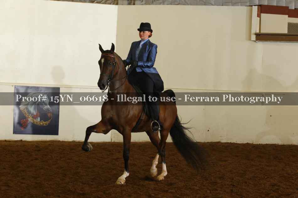 Proof 15YN_06618