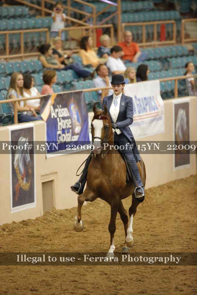 Proof 15YN_22009