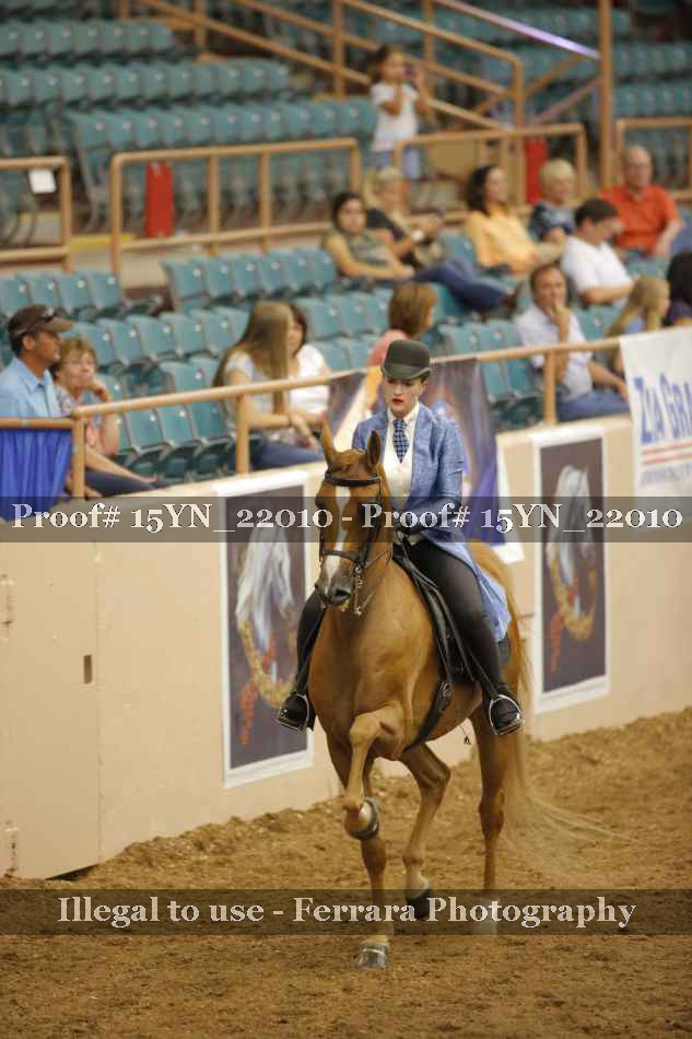 Proof 15YN_22010