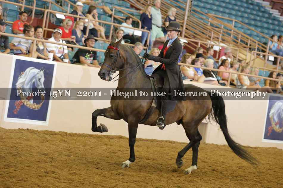 Proof 15YN_22011