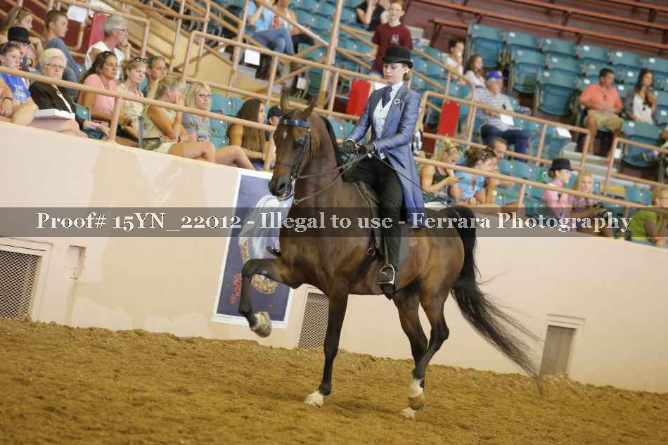 Proof 15YN_22012