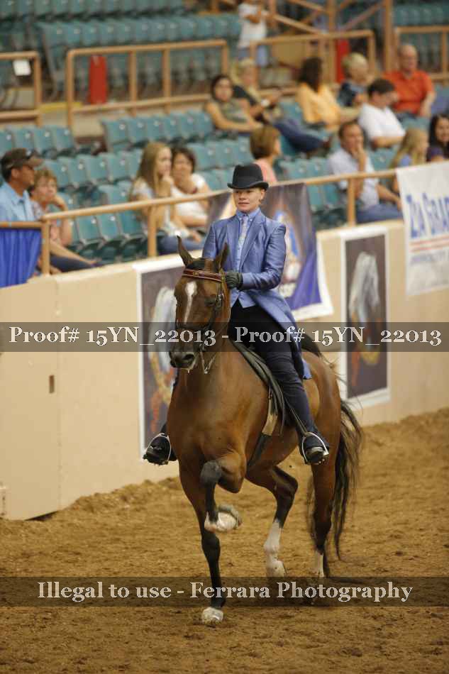 Proof 15YN_22013
