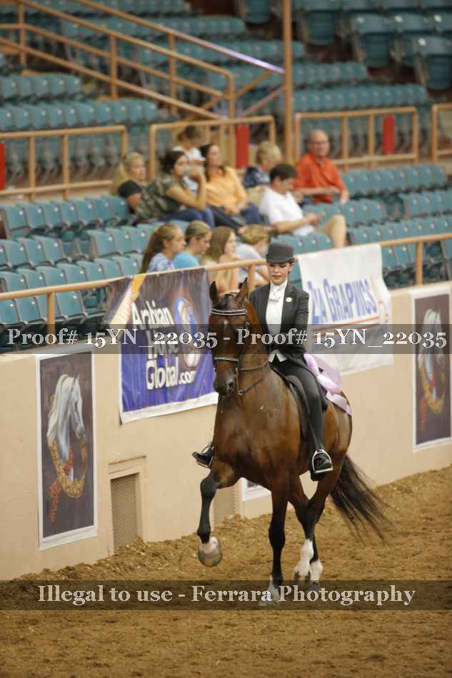 Proof 15YN_22035