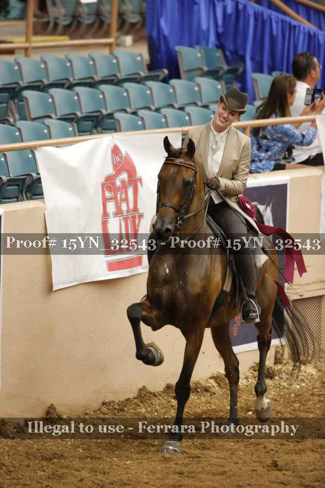 Proof 15YN_32543