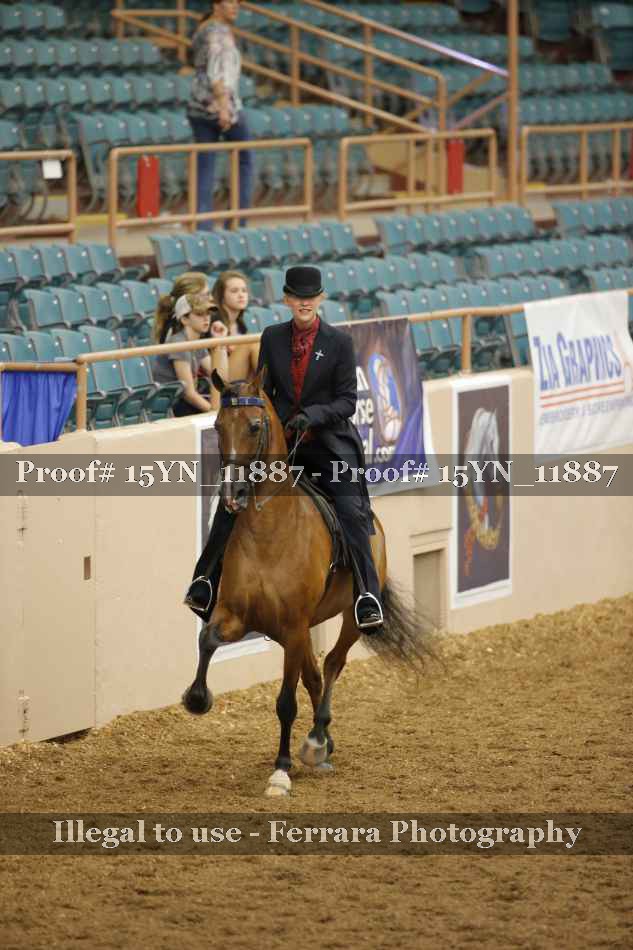 Proof 15YN_11887