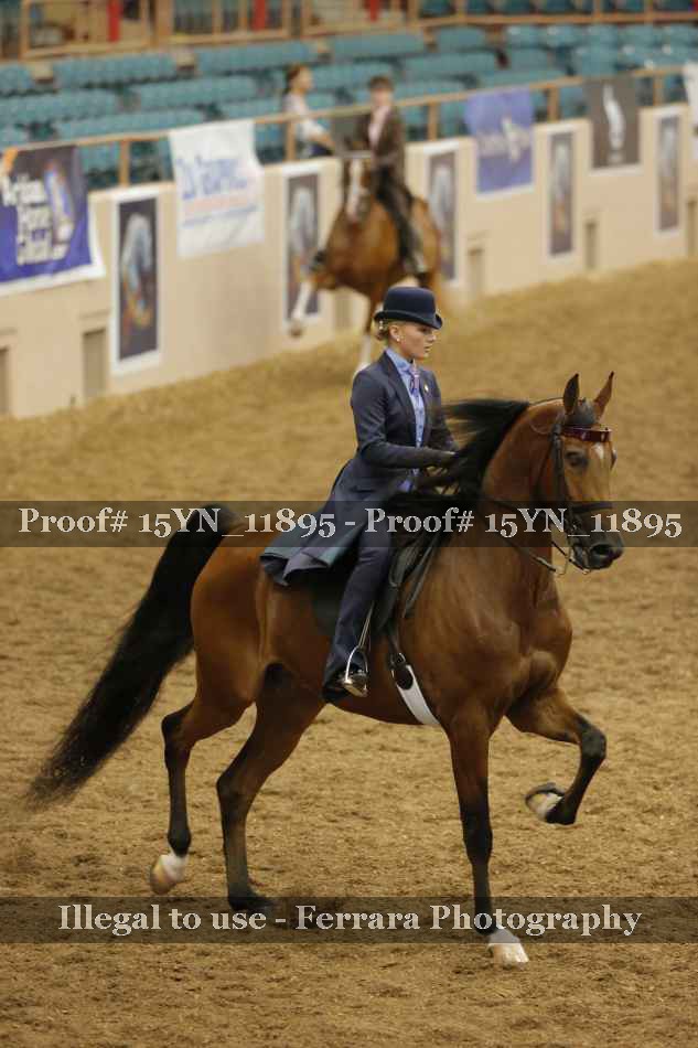 Proof 15YN_11895