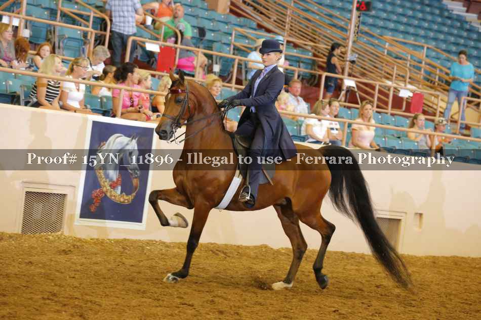 Proof 15YN_11896