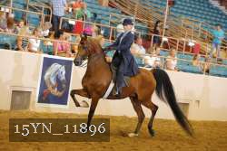 15YN_11896 proof