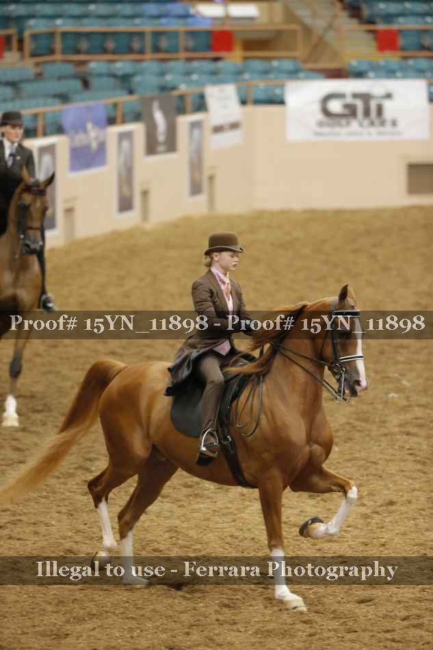 Proof 15YN_11898
