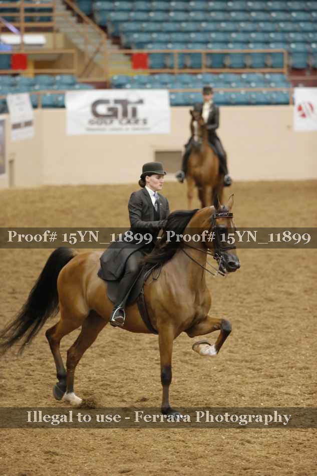 Proof 15YN_11899