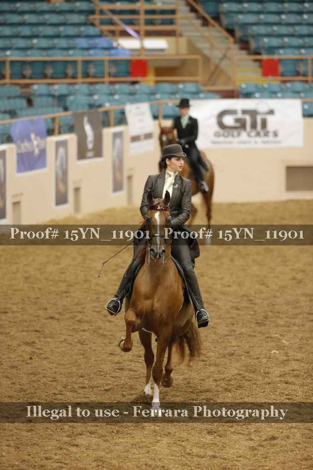 Proof 15YN_11901