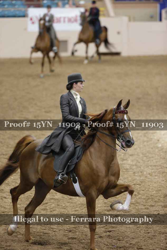 Proof 15YN_11903