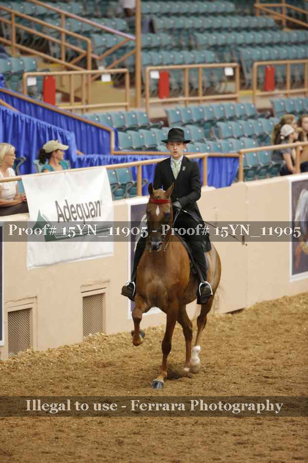 Proof 15YN_11905