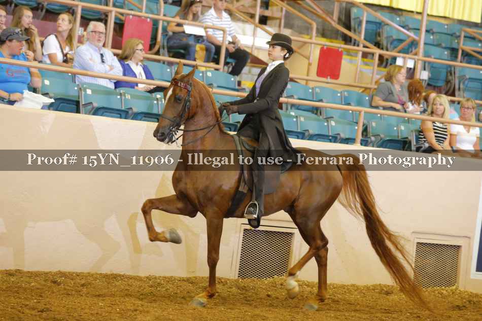 Proof 15YN_11906
