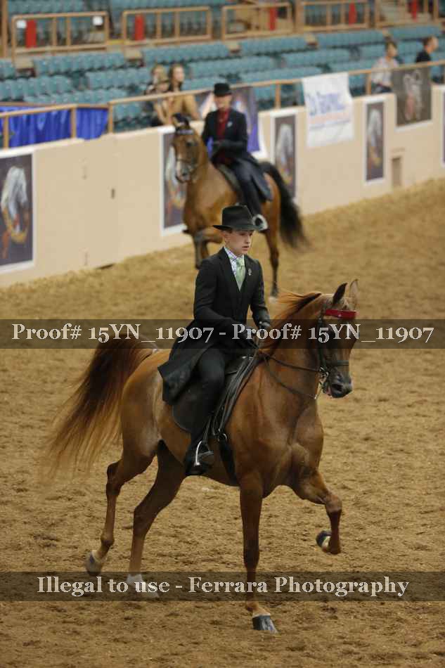 Proof 15YN_11907