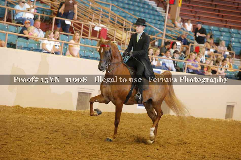 Proof 15YN_11908