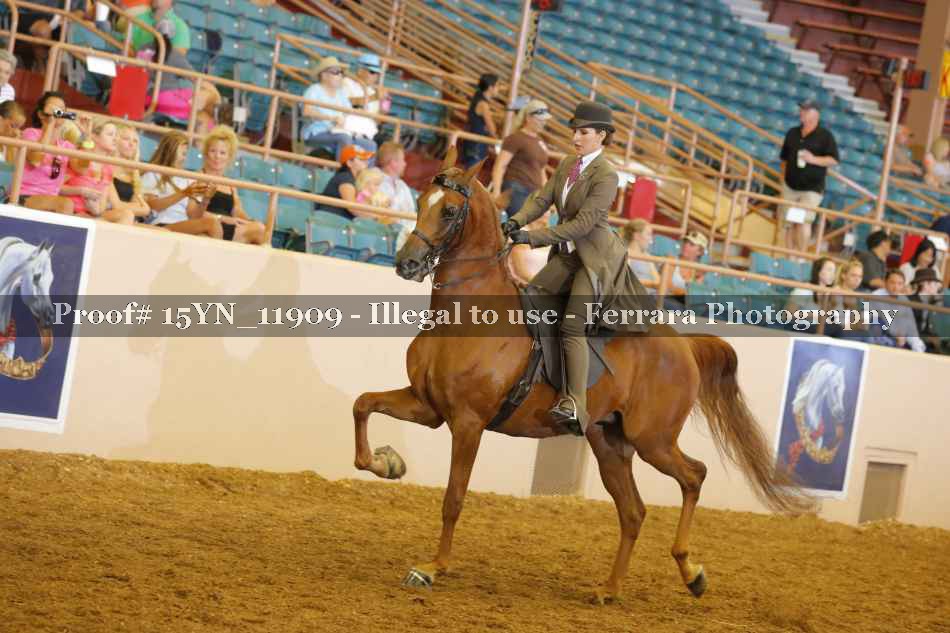 Proof 15YN_11909