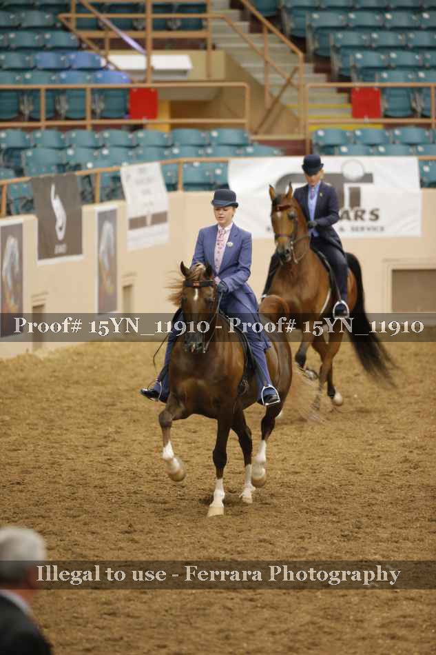 Proof 15YN_11910