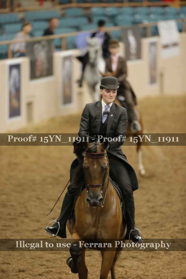 Proof 15YN_11911
