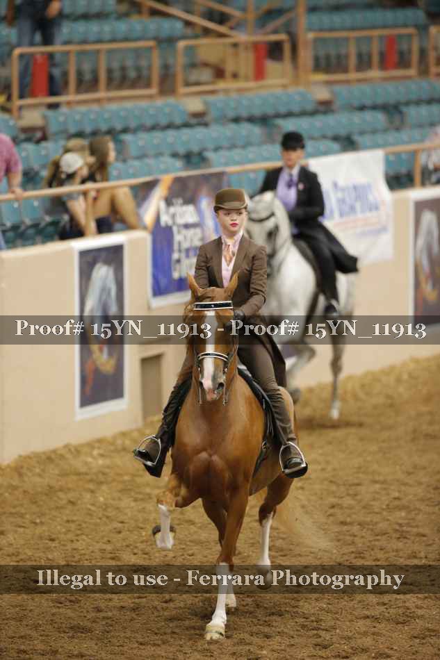 Proof 15YN_11913