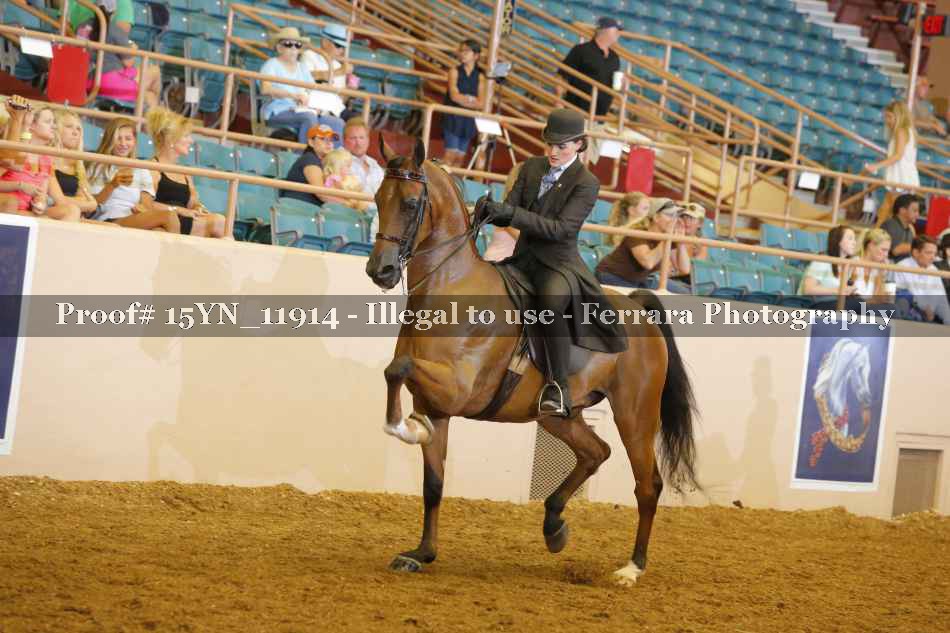 Proof 15YN_11914