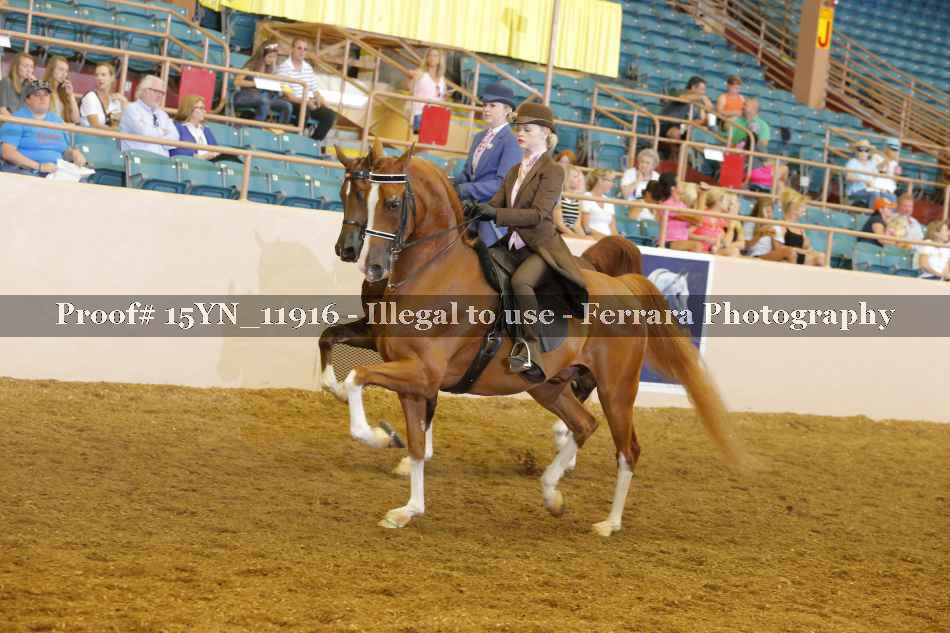 Proof 15YN_11916
