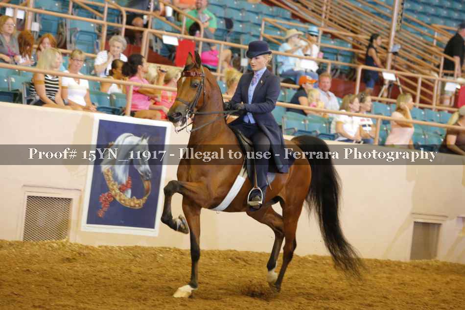 Proof 15YN_11917