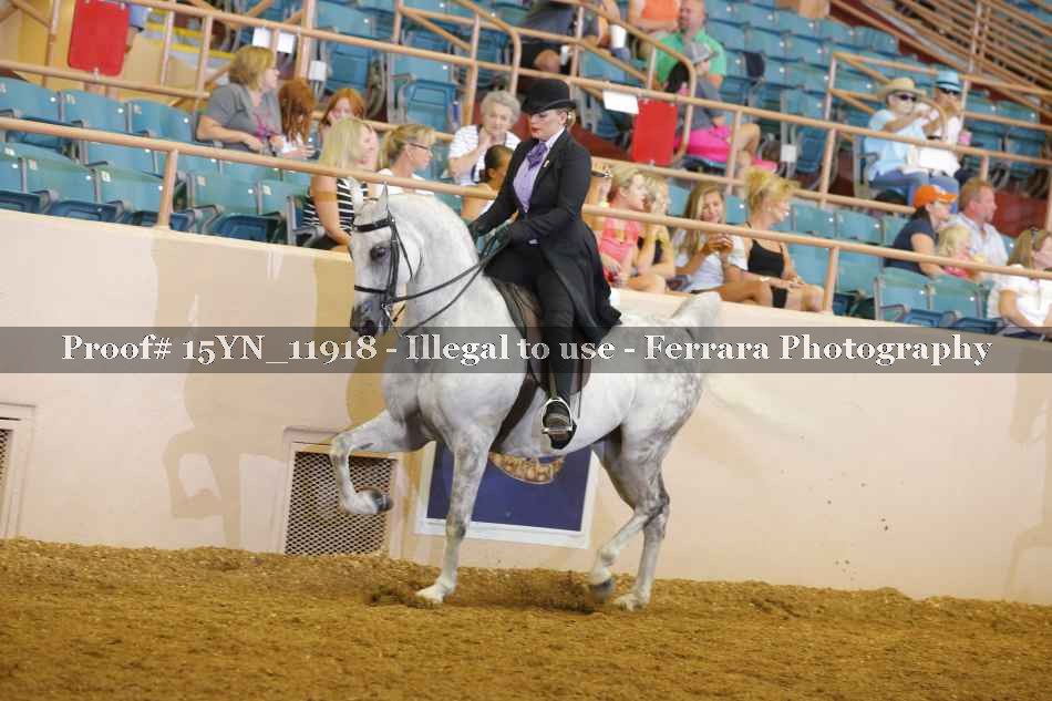 Proof 15YN_11918