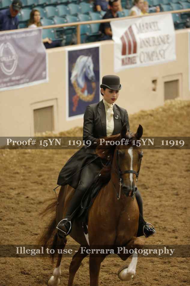 Proof 15YN_11919