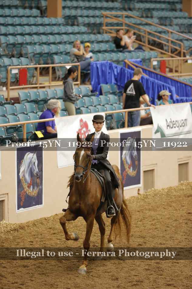 Proof 15YN_11922