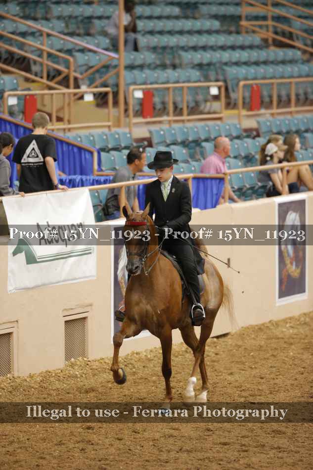 Proof 15YN_11923