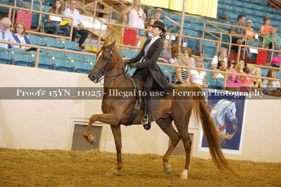 Proof 15YN_11925