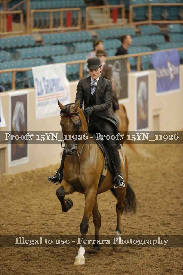 Proof 15YN_11926