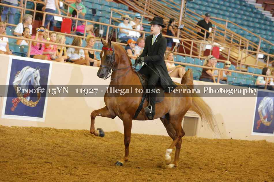 Proof 15YN_11927