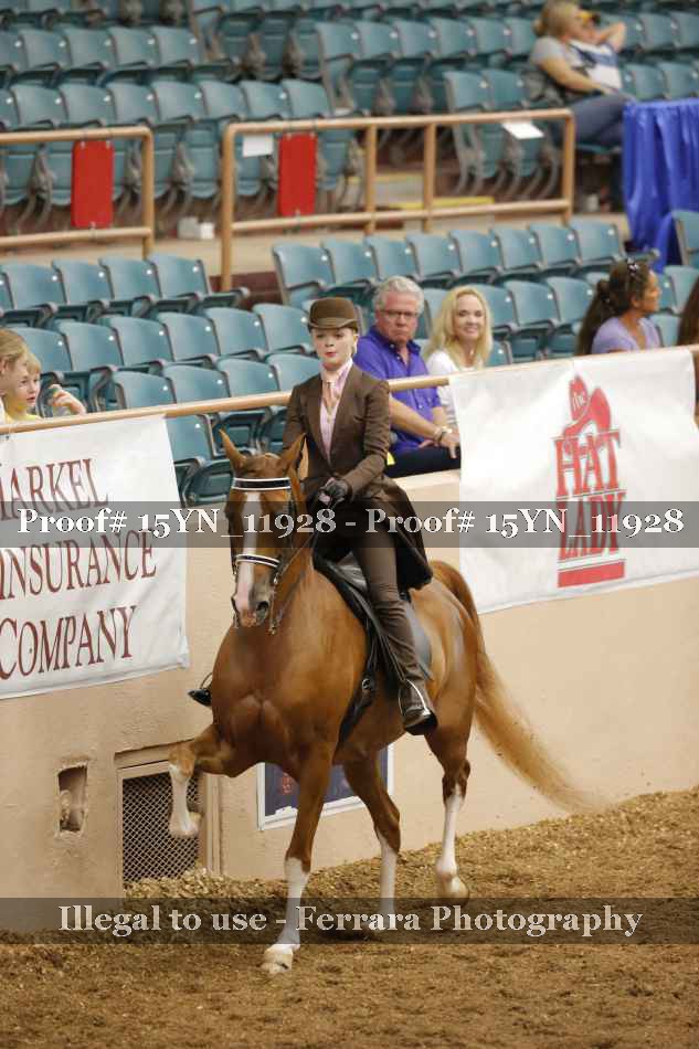 Proof 15YN_11928