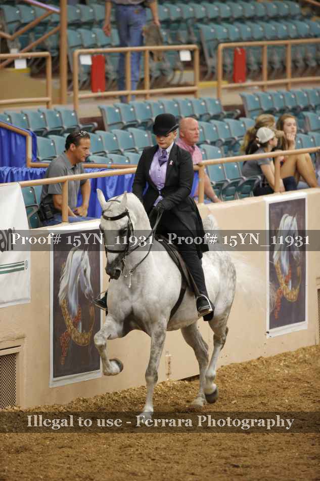 Proof 15YN_11931