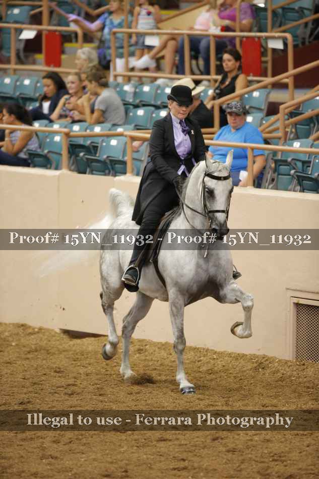 Proof 15YN_11932
