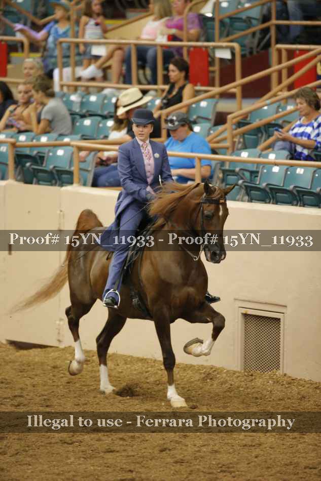 Proof 15YN_11933