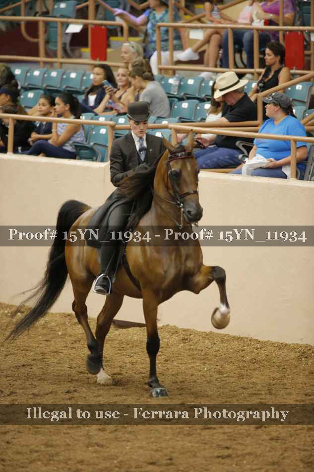Proof 15YN_11934