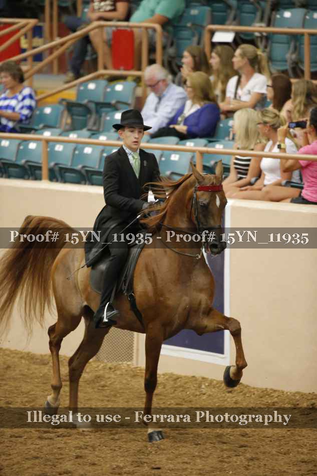 Proof 15YN_11935