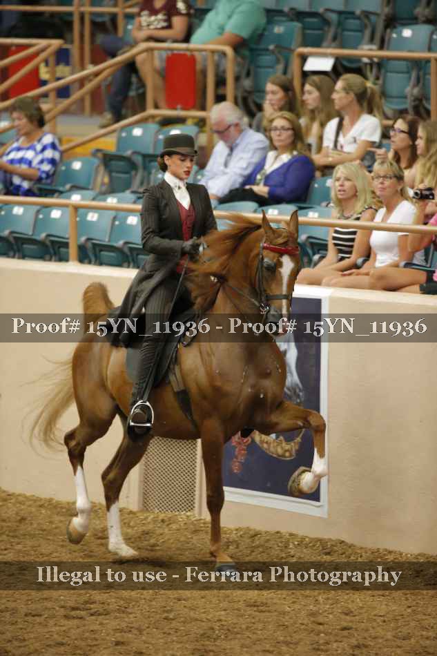 Proof 15YN_11936